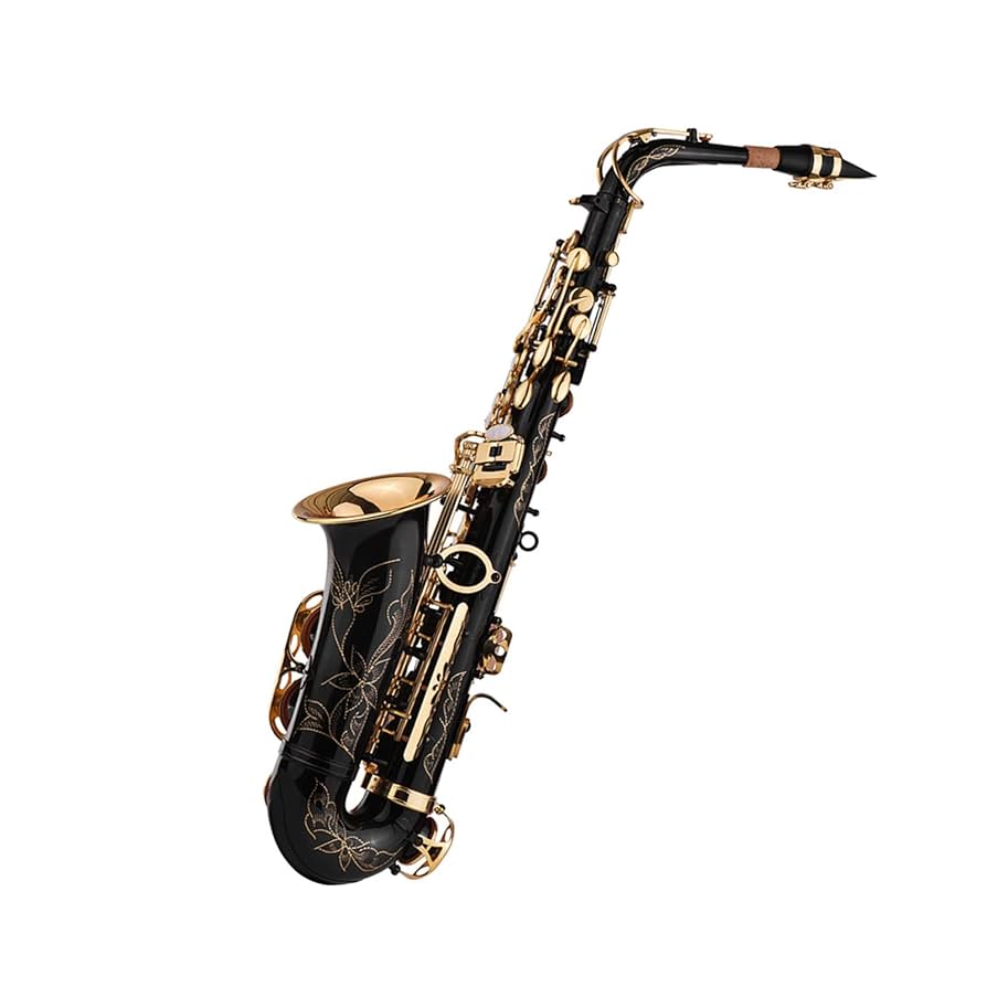Amazon.co.jp: ZEYUAN Eb アルト サックス サックス ブラス